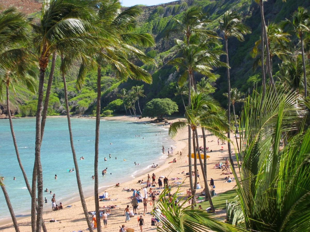 Free Parking, Pool, Sauna, Spa, Wifi, Bbq, Ac - Waikiki Banyan Honolulu Eksteriør bilde