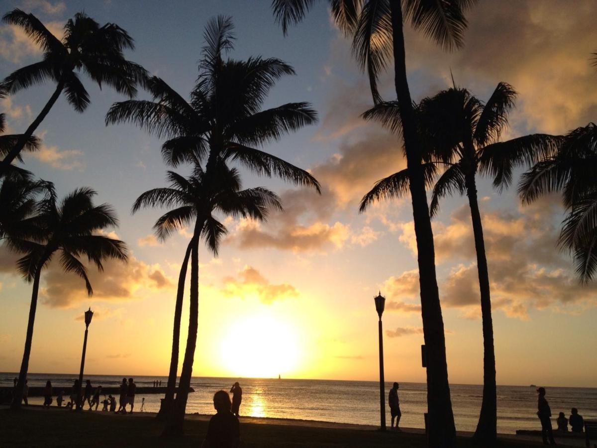 Free Parking, Pool, Sauna, Spa, Wifi, Bbq, Ac - Waikiki Banyan Honolulu Eksteriør bilde