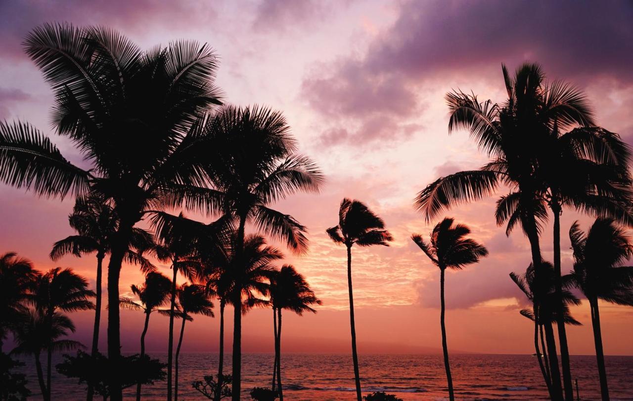 Free Parking, Pool, Sauna, Spa, Wifi, Bbq, Ac - Waikiki Banyan Honolulu Eksteriør bilde