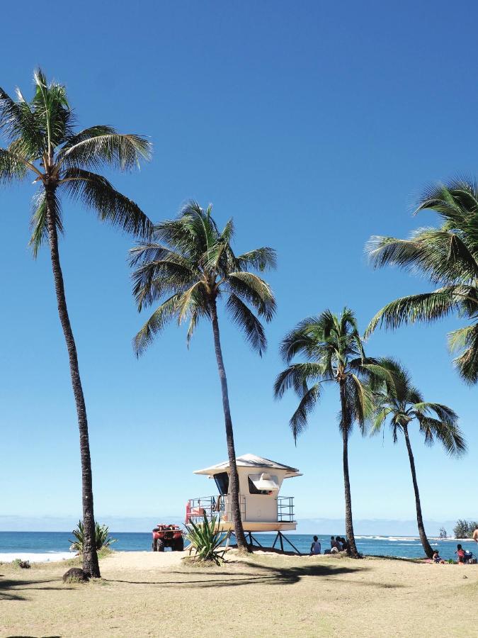 Free Parking, Pool, Sauna, Spa, Wifi, Bbq, Ac - Waikiki Banyan Honolulu Eksteriør bilde